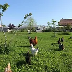 Дом отдыха Du Pagoulin - *