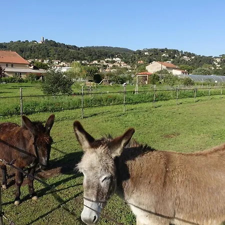 Gite Du Pagoulin - Gite Feriehus