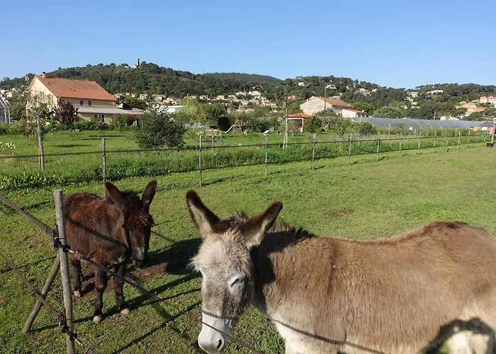 Gite Du Pagoulin - Gite Feriehus