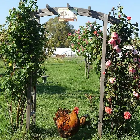Semesterbostad Du Pagoulin - Hyères