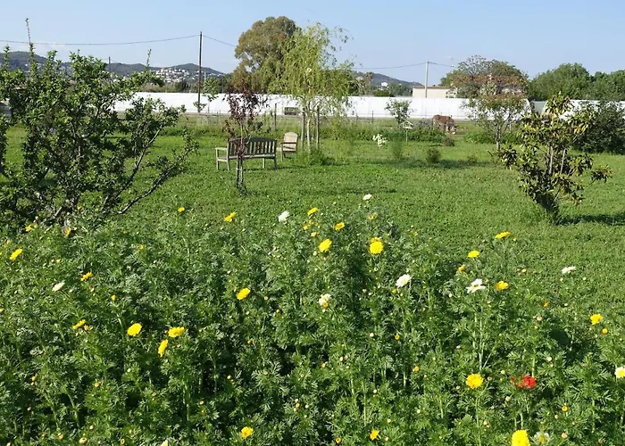 Du Pagoulin - הייר