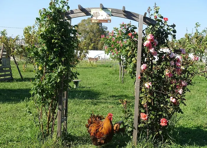 Casa vacanze Du Pagoulin - Hyères