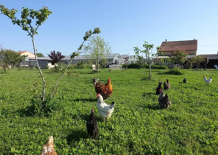 בית נופש Du Pagoulin - *